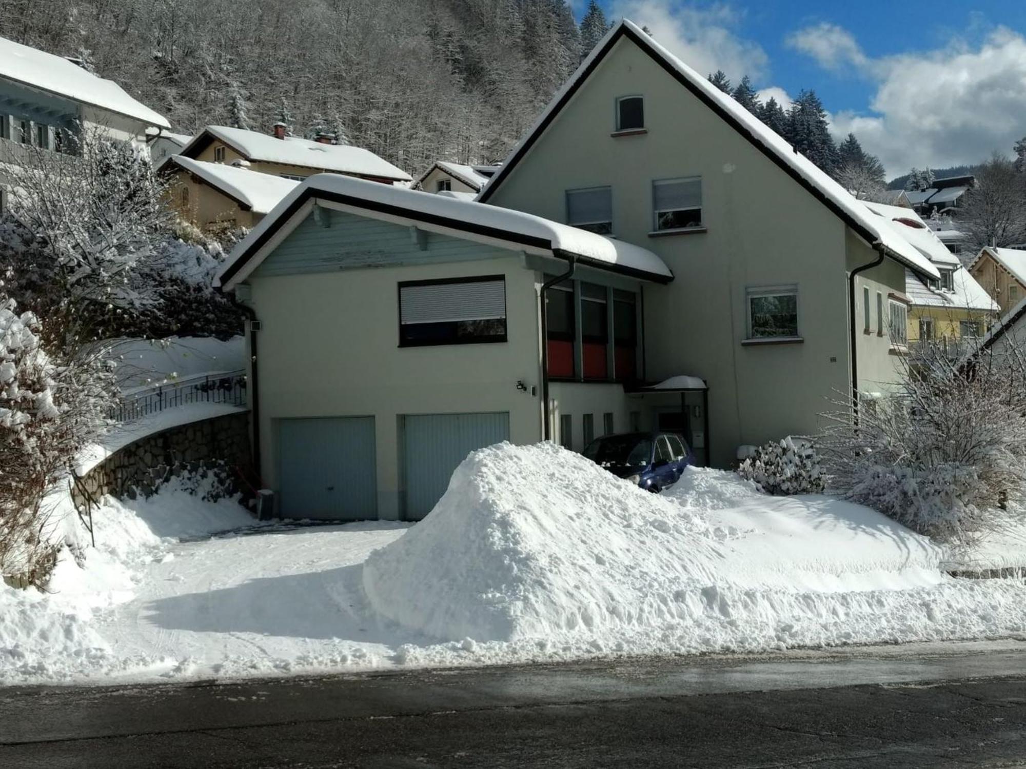 Ferienwohnung Haus Marion Todtnau Exterior foto